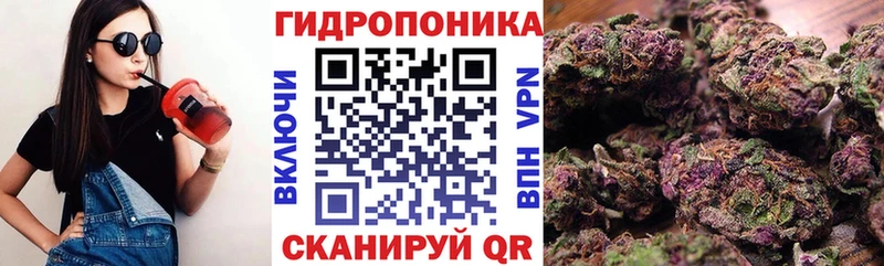 Купить закладку Кемь Cocaine  АМФЕТАМИН  ГАШ  Галлюциногенные грибы  Alpha PVP  Мефедрон 