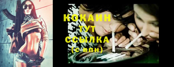 шишки Алексин