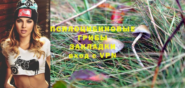 шишки Алексин