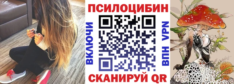 Псилоцибиновые грибы GOLDEN TEACHER  Кемь 